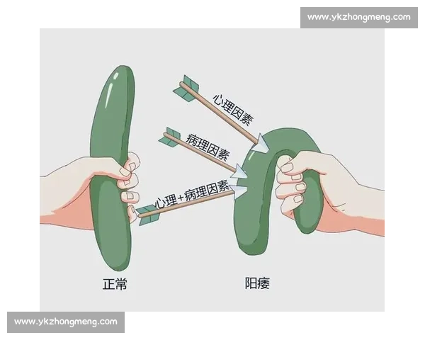 男性生殖健康知识大揭秘：预防常见男科疾病，保护生殖系统健康