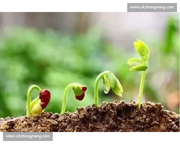 冲破桎梏！他们让积分榜焕发新的生命力